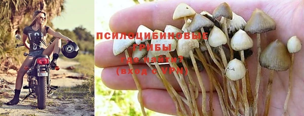 PSILOCYBIN Бронницы